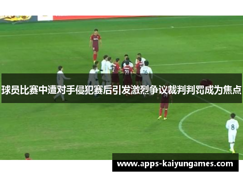 球员比赛中遭对手侵犯赛后引发激烈争议裁判判罚成为焦点