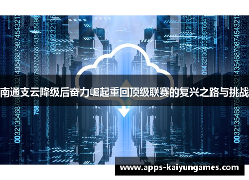 南通支云降级后奋力崛起重回顶级联赛的复兴之路与挑战