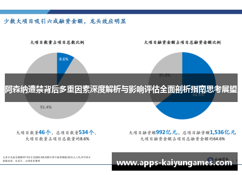 阿森纳遭禁背后多重因素深度解析与影响评估全面剖析指南思考展望