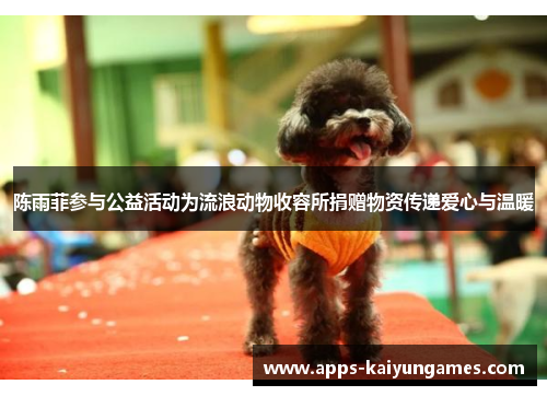 陈雨菲参与公益活动为流浪动物收容所捐赠物资传递爱心与温暖